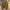 3#Brown, variant on QingYiHua Men's Summer Beach Shorts with Pockets Lightweight Elastic Waist Drawstring Casual Shorts Twill Hiking Golf Shorts Flash Deals
