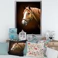thumbnail image 3 of Designart 'Brown Horse With White Nose Portrait' Farmhouse Framed Art Print, 3 of 4