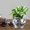 thumbnail image 3 of SEWACC Plastic Fish Bowls Transparent Decorative Item for Fish Lovers at Home 1Pcs, 3 of 8