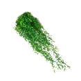 thumbnail image 4 of Advancent Fondo de pared artificial Flores colgantes Planta Vid falsa Decoración de la boda Regalos de inauguración Interior Exterior Verde corto 85CM Type2 NO2 Advancent CBP487918, 4 of 6