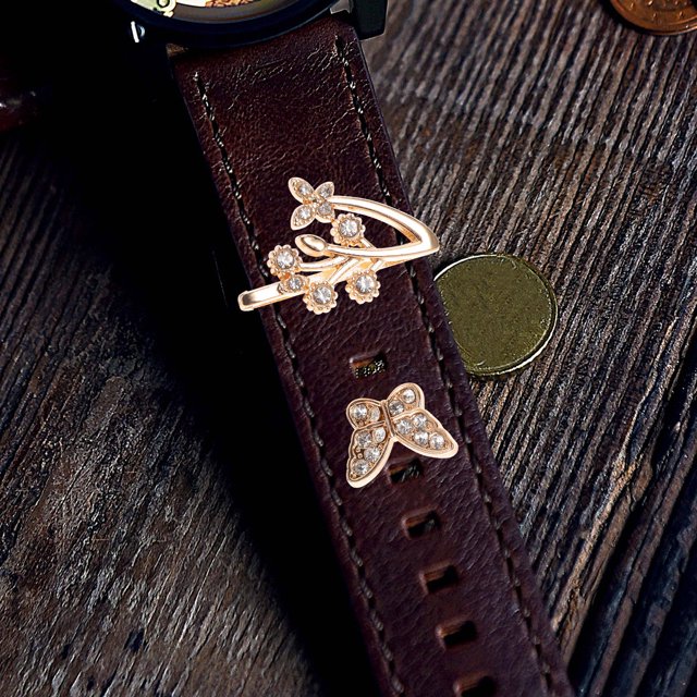 ADDHAT 1Jgo Accesorio Dorado Para Correa De Con Decorativos Y Charms Elegantes