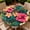Floral Ethnic, variant on ARTSLION Elastic Tablecloth For Round Tables, Waterproof Tablecover For Up To 71in Round Table, Dining Tablecover For Indoor And Outdoor, Holiday, Blue Flower
