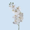 thumbnail image 3 of Faux Scented White Orchid: A Symphony of Elegance and Fragrance | By Fiori Sempre, 3 of 3