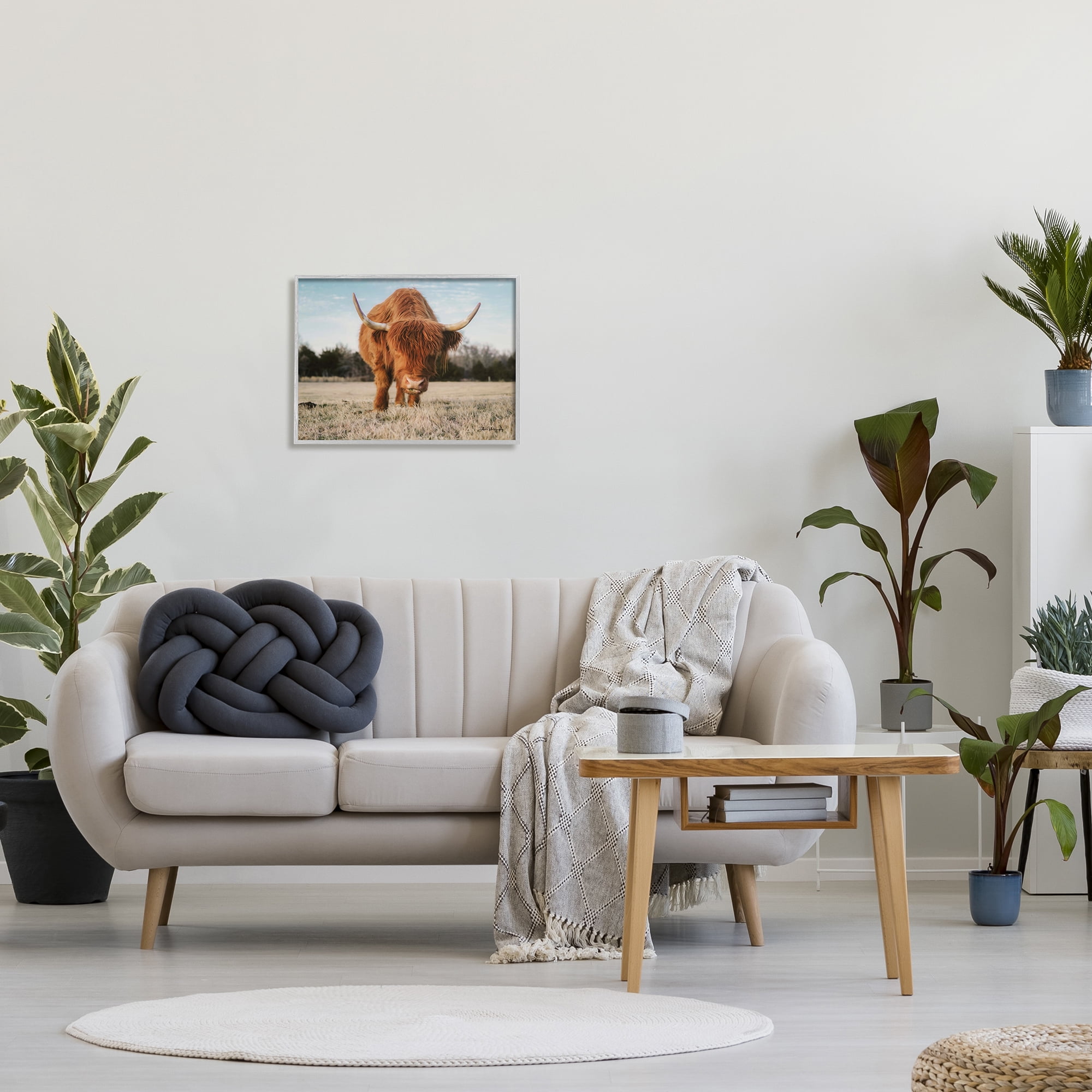Stupell Farmhouse Highland Cattle Ranch Animals & Insects Photography Gray Framed Art Print Wall Art