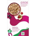 Kashi Berry Fruitful Cold Breakfast Cereal, Family Size, 21.6 oz Box