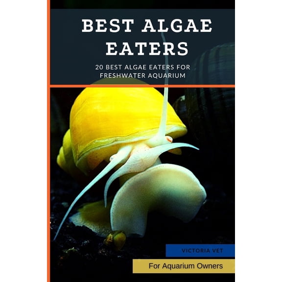 Best Algae Eaters