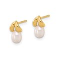 thumbnail image 4 of Boucles d'oreilles en perle en eau douce en or jaune 14K, 4 of 4
