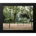 thumbnail image 2 of Blaustein, Alan 14x12 Black Modern Framed Museum Art Print Titled - Banc de Jardin - 10, 2 of 5