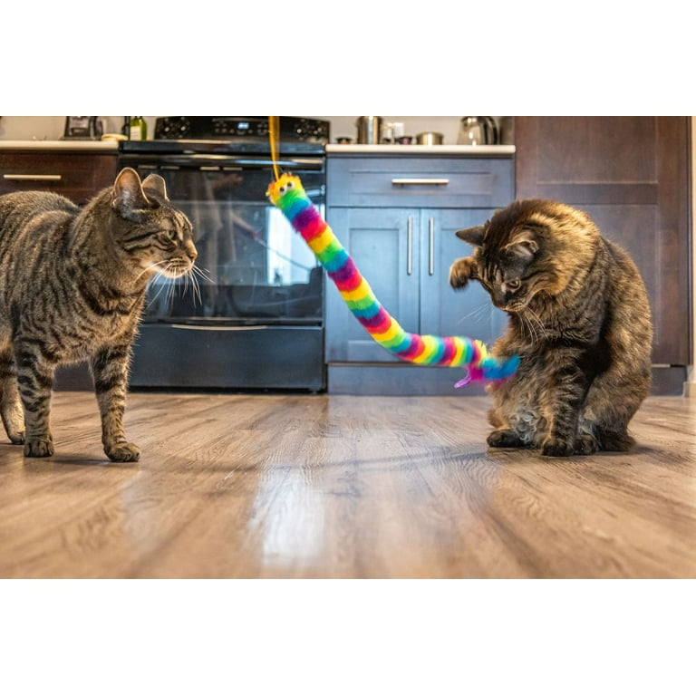 Toys of cats cheap