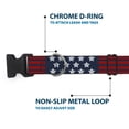 thumbnail image 5 of Buckle-Down Pet Collar, Dog Collar Plastic Buckle, Stars Stripes Blue White Red, 11 to 16.5 Inches 1.0 Inch Wide, 5 of 8
