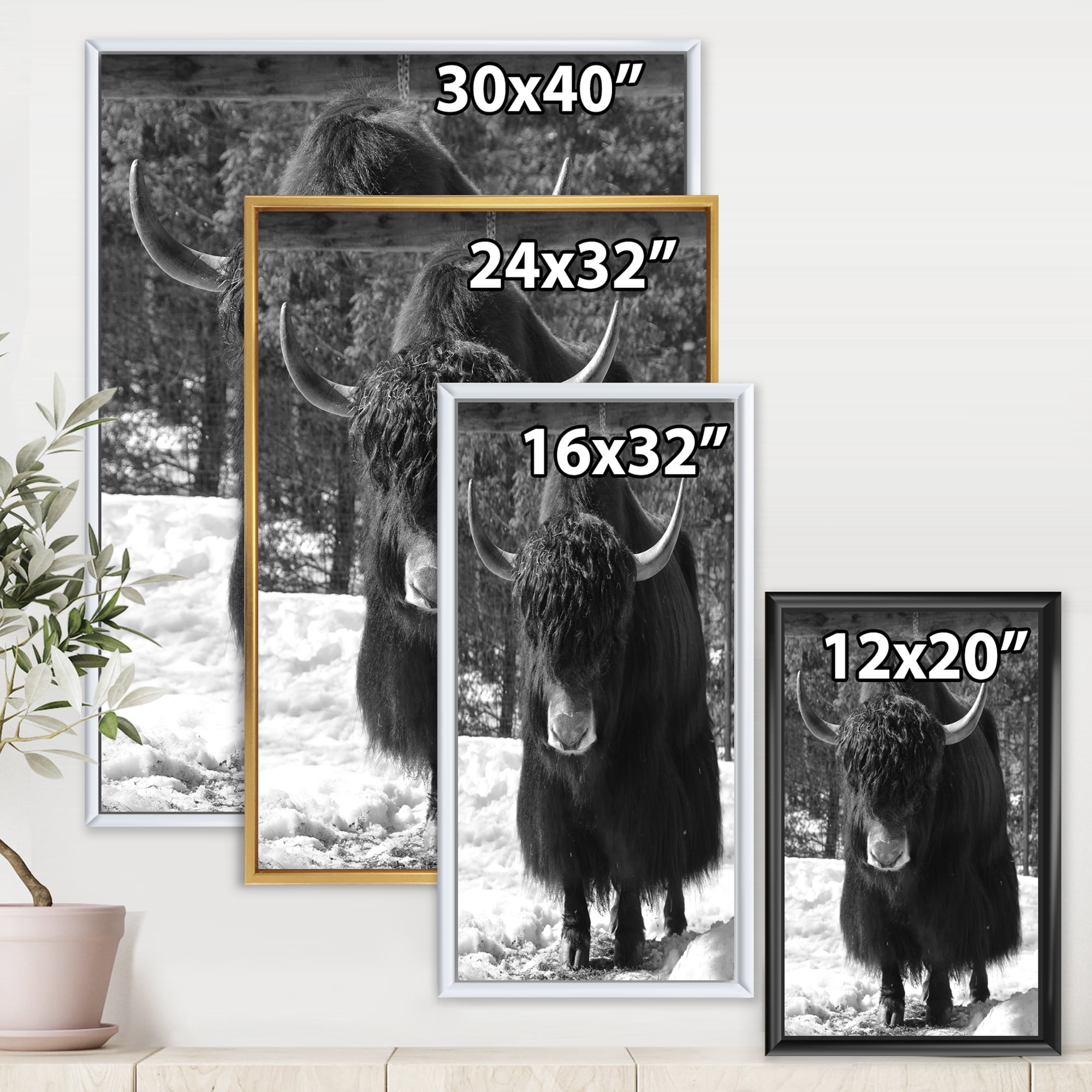 Designart 'Portrait Of Monochrome Wild Bull In Winter Forest I' Farmhouse Framed Canvas Wall Art Print
