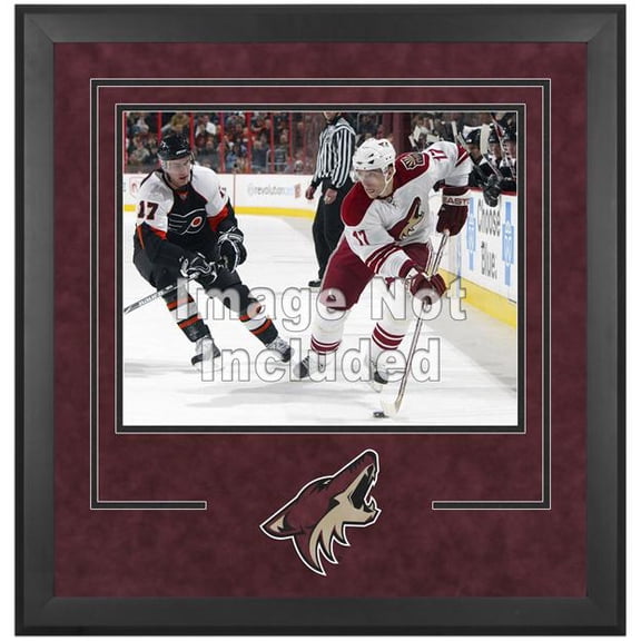 Phoenix Coyotes Deluxe 16" x 20" Horizontal Photograph Frame