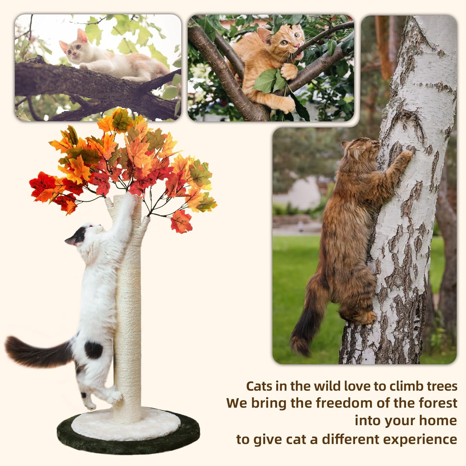 Cat Scratching Post 35'' Cat Scratcher Tall Scratching Posts for Indoor Cats with Cat Toy and Interactive Ball Self Groomer for Kittens Adults Cats