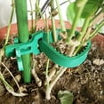 thumbnail image 2 of Visland 10PCS Tree Stake Supports Adjustable Tree Plant Ties Tree Training System,Heavy Duty Flexible Rubber Locking Strap-Cable, Plant & Tree Ties, 2 of 5