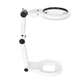 thumbnail image 1 of Lupa plegable JShteea 8/21/24 LED con mango de ABS Para personas mayores 120 mm 21 LED, 1 of 9