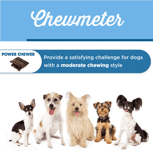 Best Bully Sticks Peanut Butter Flavored Natural Collagen Chew Sticks for Dogs, 12 Inch 6 Count Bag Long Lasting Natural Chew Treat for Large Dogs