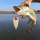 thumbnail image 4 of Pesca Sqequin señuelo cebo mental con un gancho Pesca Spinners y Spinnerbaits Hook Tackle ANGGREK  Otros, 4 of 8