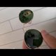 thumbnail image 1 of RB-Hip Hop-sunglasses 🔥BRAND NEW RB 3447N 001 Men's Green Lens Sunglasses, 1 of 5