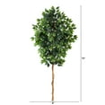 thumbnail image 2 of Nearly Natural 6' Ficus Artificial Tree (No Pot), Green, 2 of 3