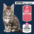 thumbnail image 2 of Everyday Health Indoor Kitten Cat Dry Food - Chicken & Rice, With-Grain, 2 of 4