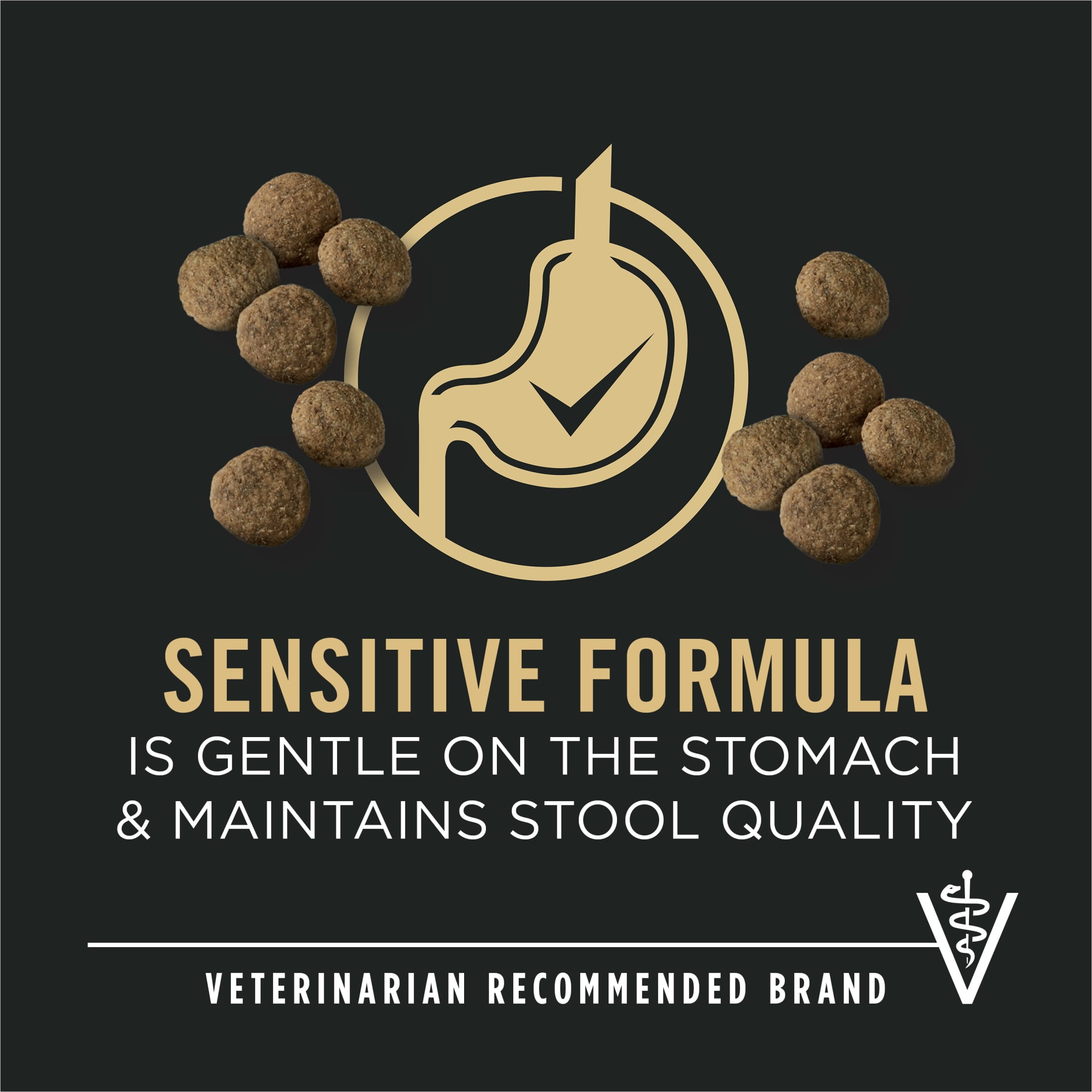 Purina Pro Plan Sensitive Skin and Sensitive Stomach Dog Food Large Breed Salmon and Rice Formula, 34 lb Bag