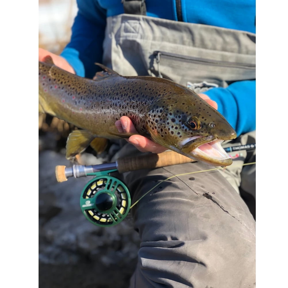 Cheeky Fishing Launch 325 Fly Reel, Green/Black Cheeky Launch 325 Fly Reel | P-23685