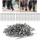 thumbnail image 4 of Clavo 250 Uds Clavos De Herradura De Acero De Alta Accesorio E5 Suministro De Caballo Mano De Obra Fina, 4 of 7