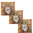 thumbnail image 6 of Coolnut 3 PCS Autumn Cat Baby Muslin Washcloths, Colors Leaves Face Towel Burp Cloths Ultra Soft Absorbent Cotton Bath Wipes Towels for Newborn Boys Girls, 6 of 6