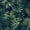 Color 4, variant on Peel and Stick Wallpaper Tropical Palm Leaf Soft Green Tones Layered Botanical Wall Mural 17.7in x 9.8ft Self Adhesive Removable Wall Paper Renter Friendly Wallpaper for Nursery Bedroom Cabinets