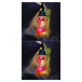 thumbnail image 3 of Bearachild Sombrero con luces LED para vacaciones de Halloween, decoración para fiesta, sombrero colgante, sombrero de brillante, accesorio Type7 NO7, 3 of 6