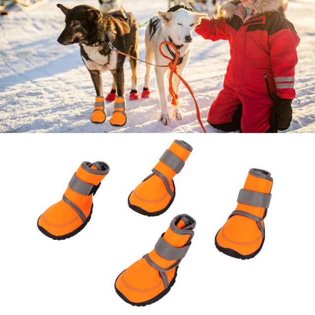 Bottes 4 Pcs Bottes pour Chien Caoutchouc Doux Imperméable Protecteur pour Chien avec Sangles Réfléchissantes pour Activités Extérieures