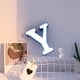 thumbnail image 5 of Luz LED Creative LED Letter Lights Night Light Plastic English Letters Light Lamp Decor AHeartcove LED221201-0717JD, 5 of 7