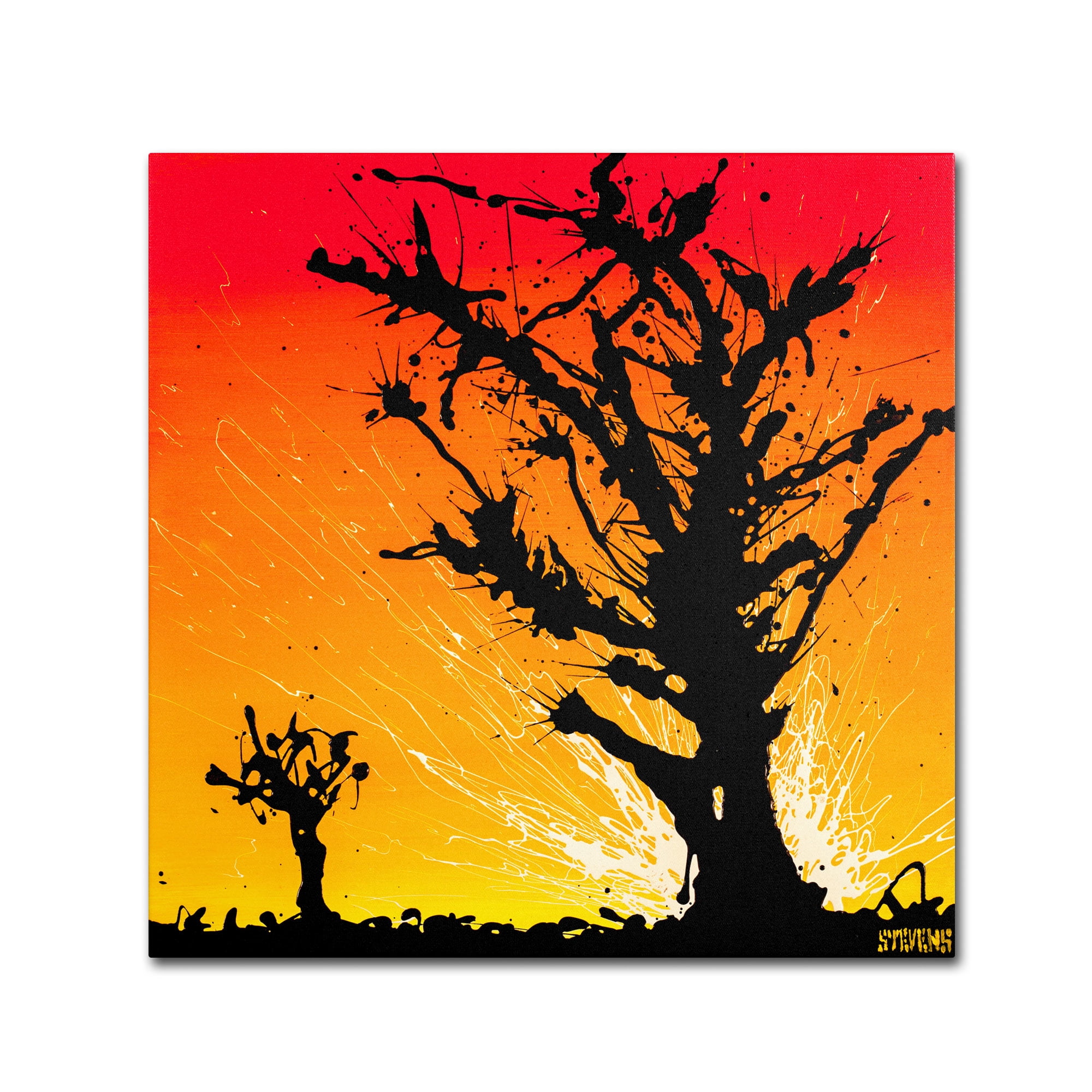 Trademark Fine Art "Joshua Sunburst" Canvas Art by Roderick Stevens
