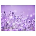 thumbnail image 2 of Champ de Lavande Violette - Impression sur Toile Paysager, 2 of 3