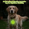 thumbnail image 4 of 1 Pieces Reflective Pet Pendant, 360° Glow-in-the-Dark Silicone Tag for Collars, Ensures Visibility for Cats & Dogs on Evening Adventures., 4 of 6