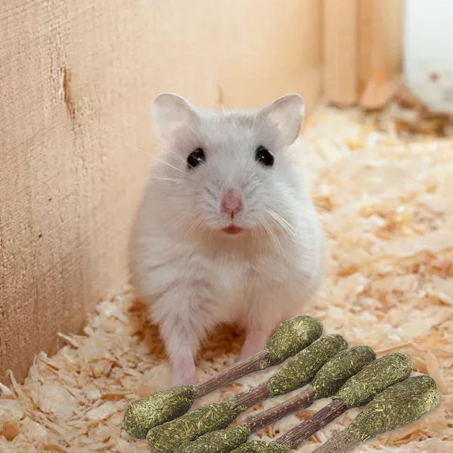 Palitos para Masticar Conejos ANGGREK Hierba de Alfalfa para Mascotas