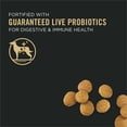 thumbnail image 3 of Development Under Two Years Puppy, Large Breed Dry Dog Food Formula 8.16kg, 3 of 5