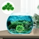 thumbnail image 3 of KAKOWELY 6 plantas artificiales para pecera, de alta simulación, para decoración paisajística., 3 of 4