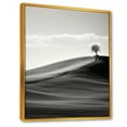 thumbnail image 2 of Designart "Desert Scenery In Black And White" Meadow Floater Framed Canvas Prints, 2 of 5