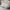 Beige, variant on Ktaxon 80" Sectional sofa Cloud Deep Seat Couch Suede Fabric Sleeper Loveseat for Living Room,Apartment and Small Space Beige