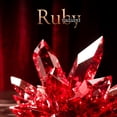 thumbnail image 3 of Perfume Frais et Frais Ruby Radiant Eau de Parfum, 100 ml, unisex, 3 of 4
