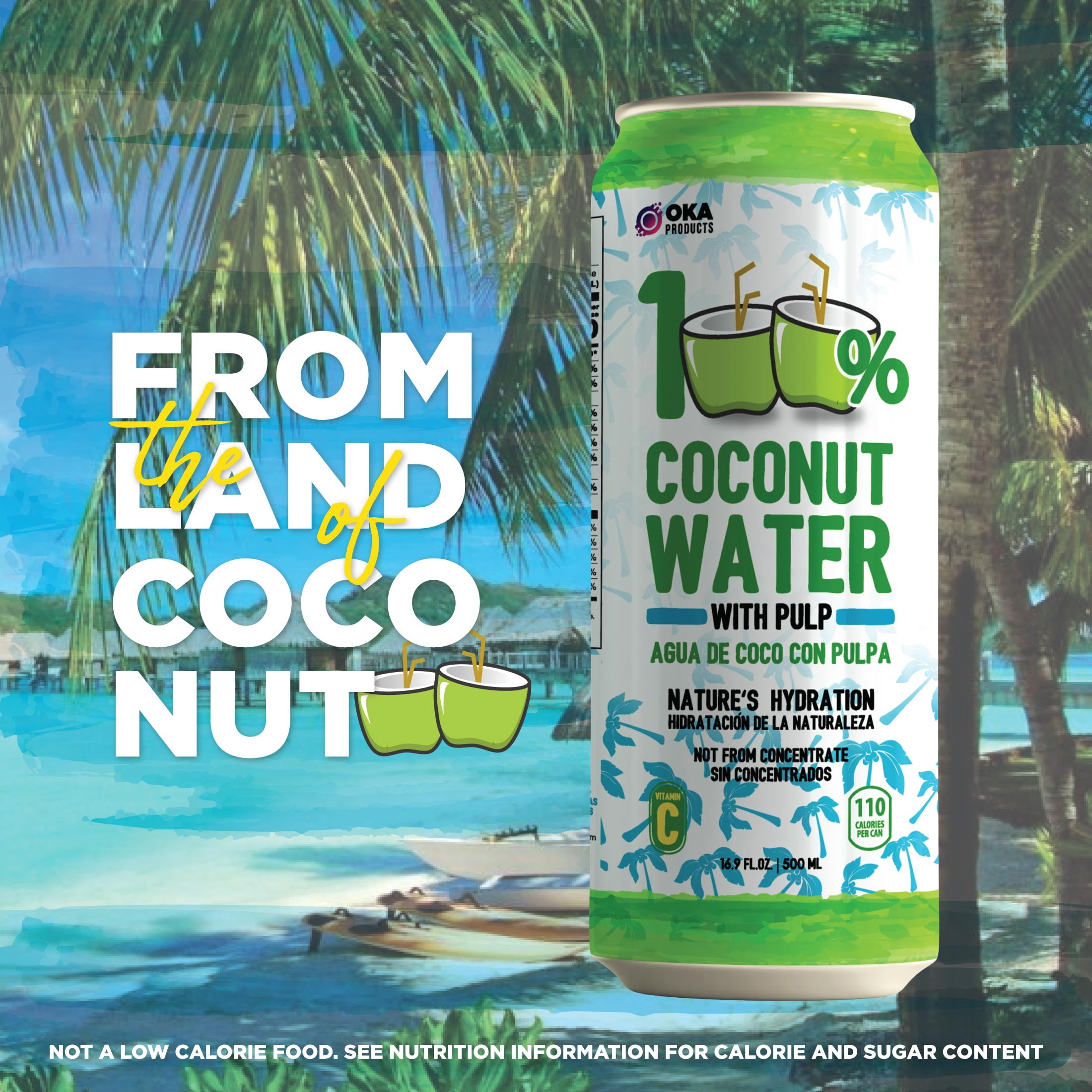 100% Coconut Water with Pulp, Pure, No Added Sugar, 16.9 fl oz can