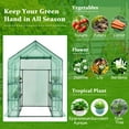 thumbnail image 5 of Gymax Walk-in Greenhouse 56''x56''x77'' Gardening w/Observation Windows 2 Tier 8 Shelves, 5 of 9