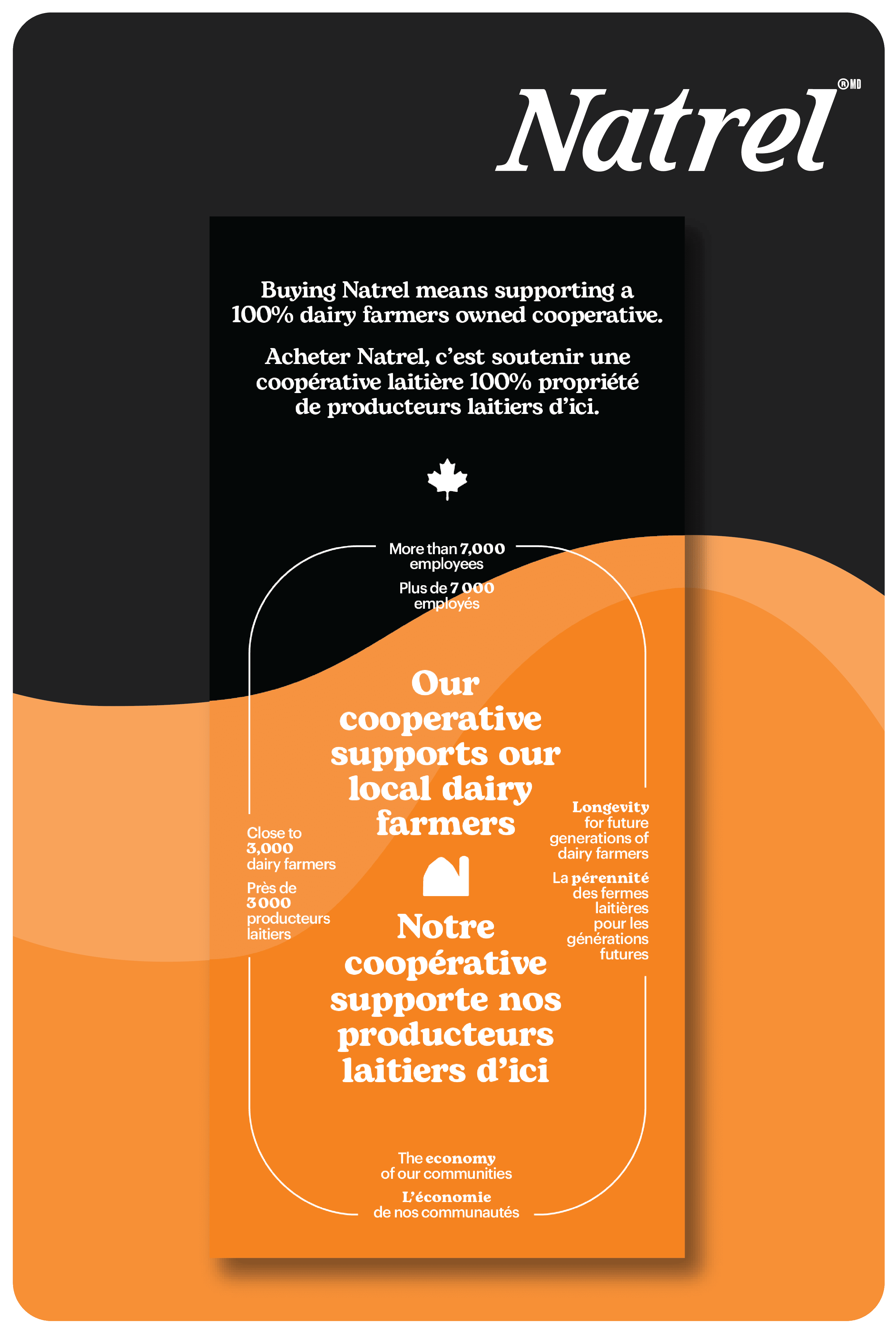 Natrel Lactose Free Fat Free Skim 0%, 4 L