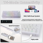 Tri-Mode Mechanical Keyboard with RGB, Hot-Swappable, Translucent White