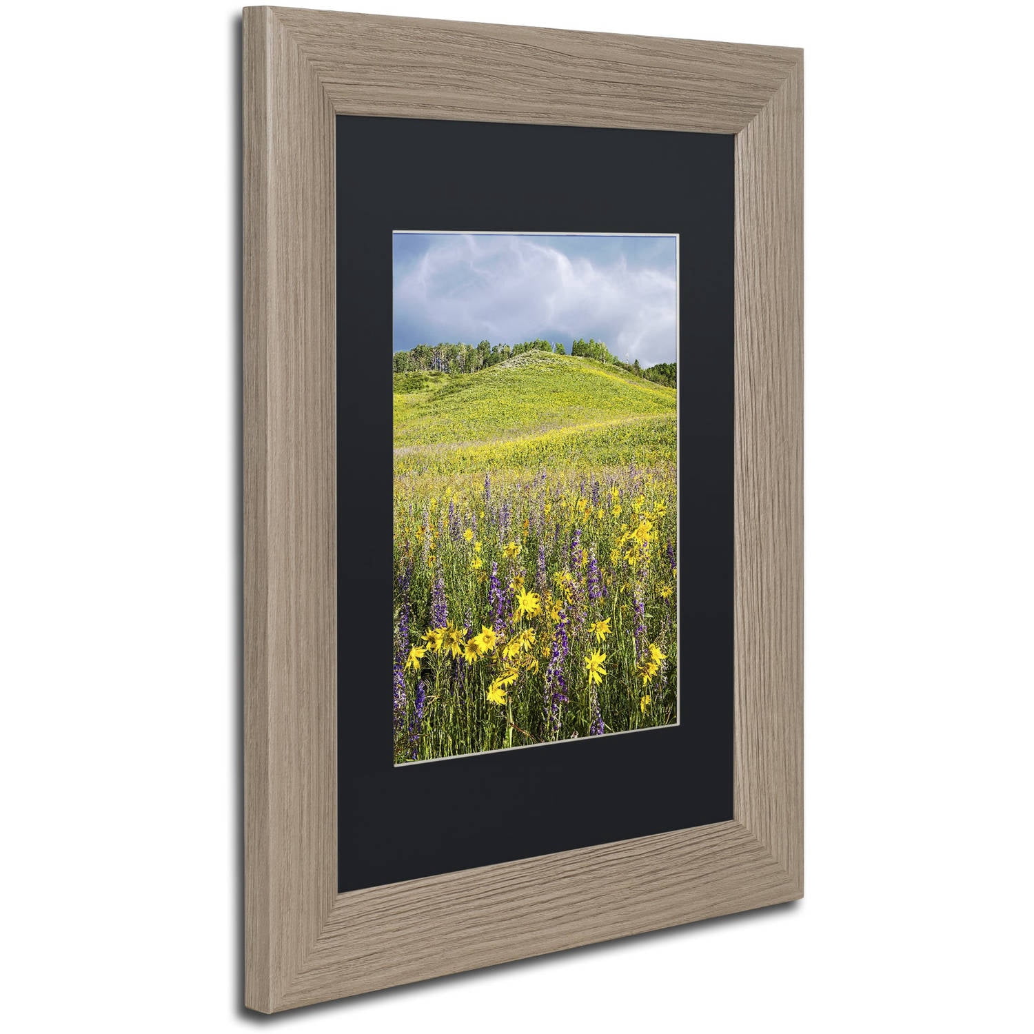 Trademark Fine Art "Hillside Bloom" Canvas Art by Michael Blanchette Photography Black Matte, Birch Frame