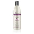 thumbnail image 1 of Champú Iden Bee Propolis Smooth Therapy 300 ml, 1 of 1
