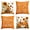 Scarecrow, variant on Sm:)e Blesse Sunflower Scarecrow Pumpkin Fall Throw Pillow Cover 18x18 Inch Set of 4, Autumn Decorative Outdoor Cushion Cover for Sofa Couch