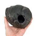 thumbnail image 5 of Refugio para Reptiles Cueva Zoo Med 3 en 1 para Reptiles Pequeños, 5 of 5