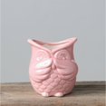 thumbnail image 4 of MKHSQHDG Today's Deals Owl Shaped Ceramic Succulent Planter Garden Container, 4 of 5